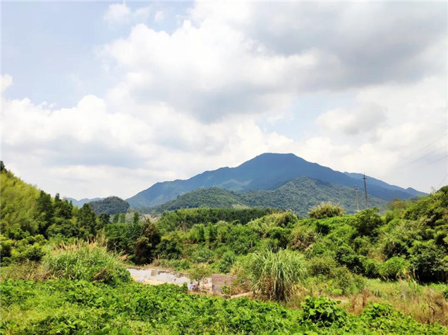 呼吸鮮氧，踐行公益——廣東博皓公益活動(dòng)：星溪線公益環(huán)保活動(dòng)   -6